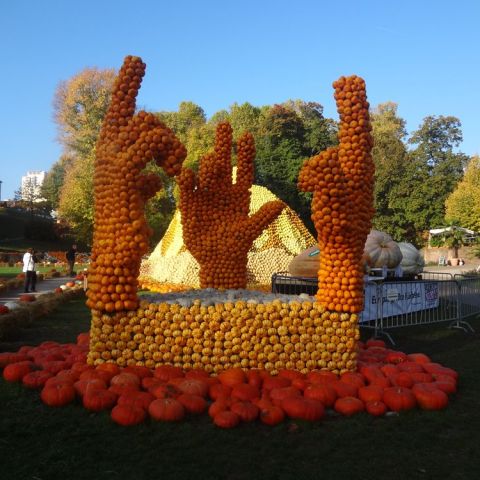 DSC03660