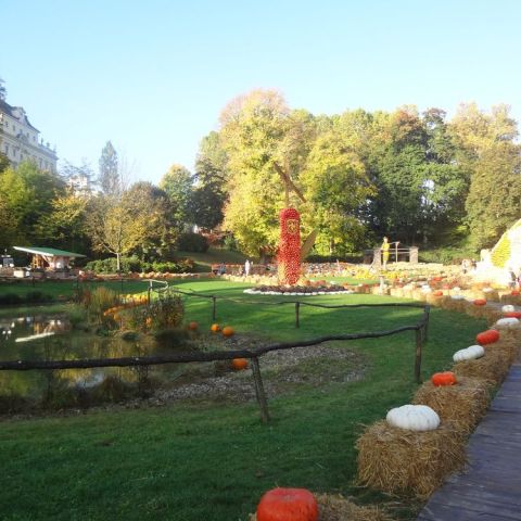 DSC03675