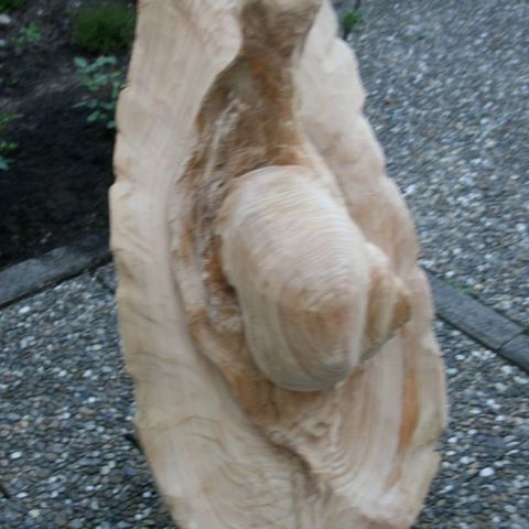 IMG 7354
