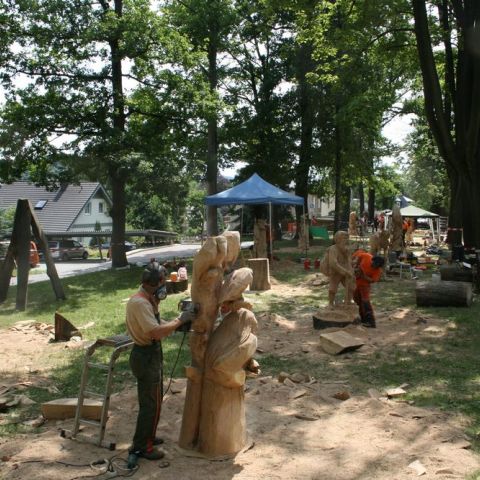 IMG 7672