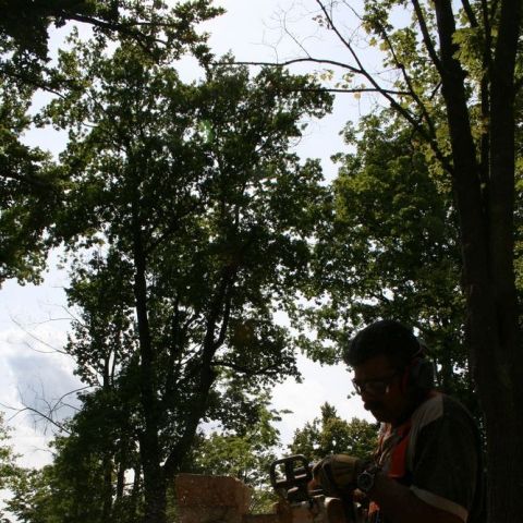 IMG 7686