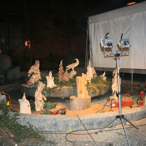 IMG 0805