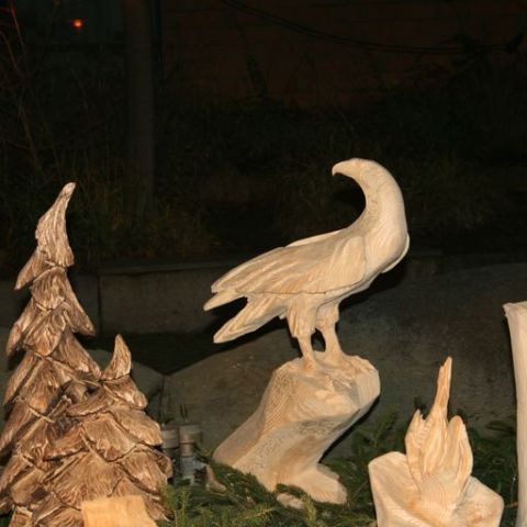 IMG 0816