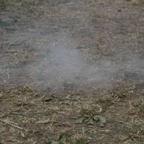 IMG 3768