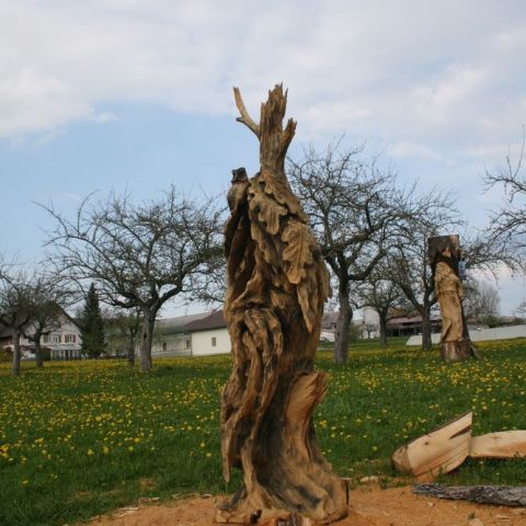 IMG 0983