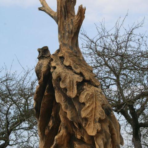 IMG 0984