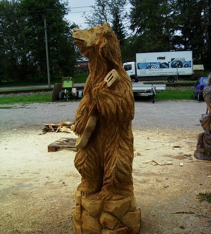 Baer mit Gitarre003