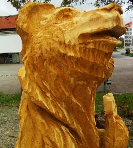 Baer mit Gitarre006