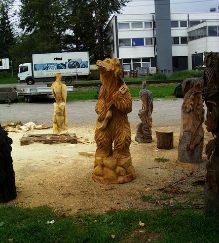 Baer mit Gitarre009