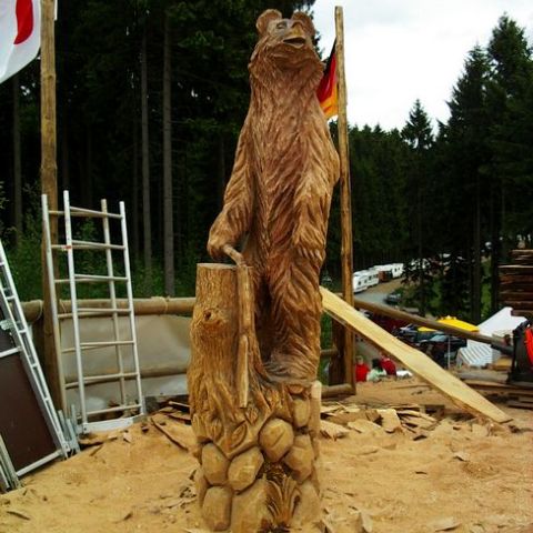 huskycup077