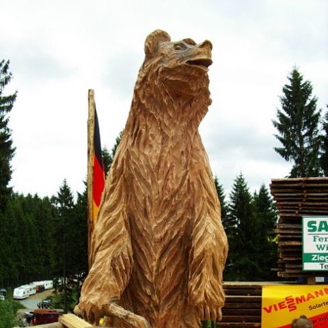 huskycup081