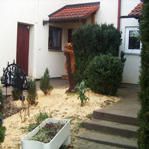 BaerBaum- 01