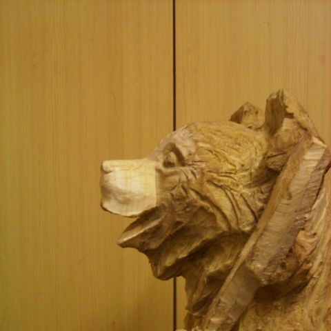 Baer mit Balalajka - 007