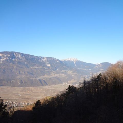 DSC01814