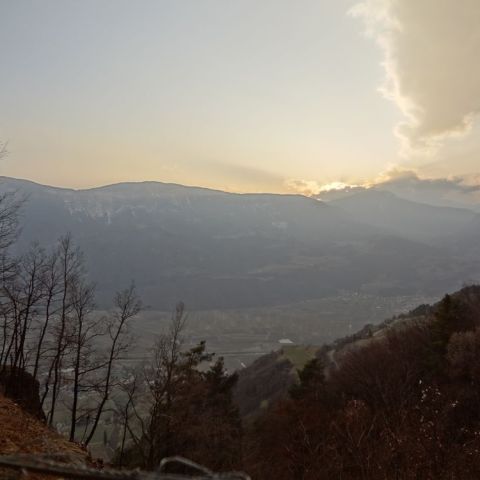 DSC01871