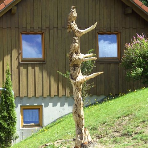 der eulenbaum - 002