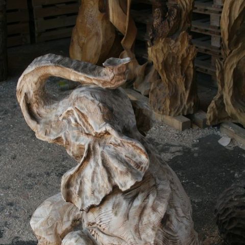 IMG 7704
