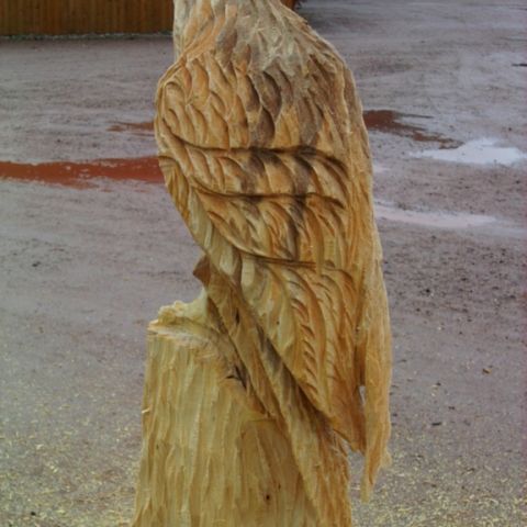Sokol - 006