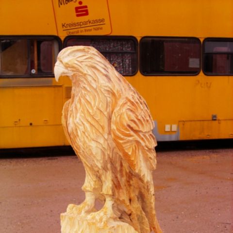 Sokol - 007
