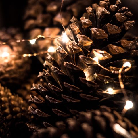 weihnachtsmarkt0975