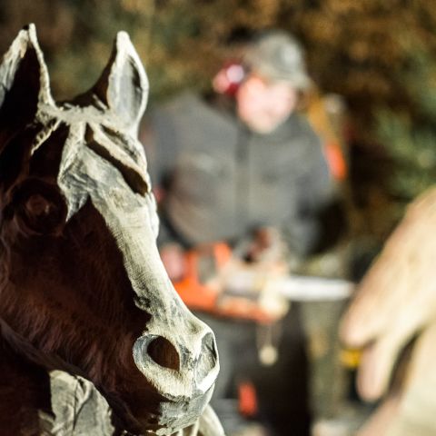 weihnachtsmarkt0981