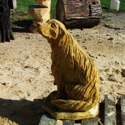 Hund 3 - 01