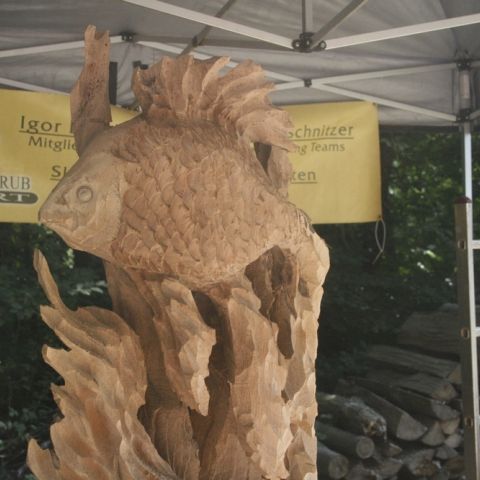 goldfische - 002