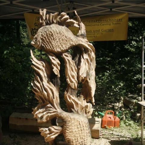 goldfische - 004