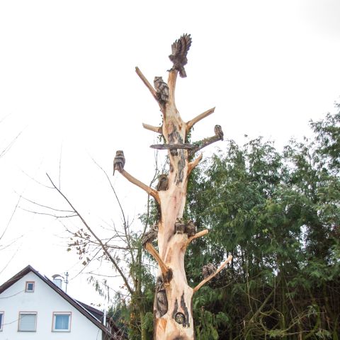 grossereulenbaum0957