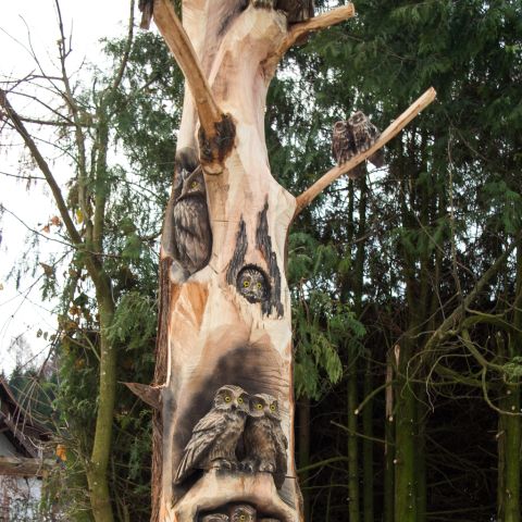 grossereulenbaum0960