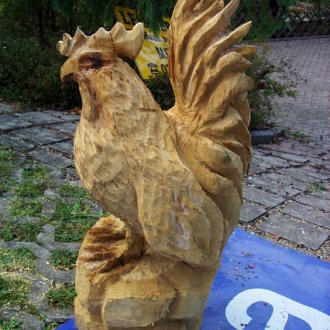 Neuer Huhn - 01