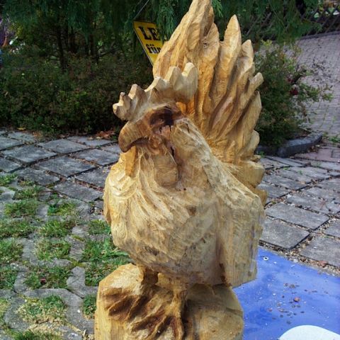 Neuer Huhn - 02