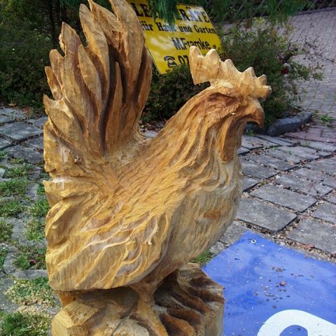 Neuer Huhn - 04
