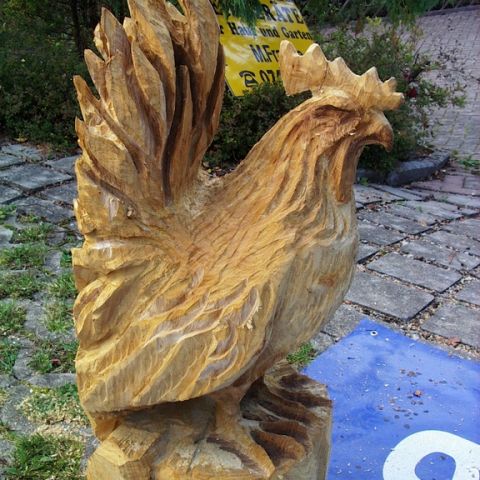 Neuer Huhn - 05