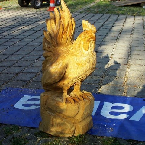 Neuer Huhn - 09