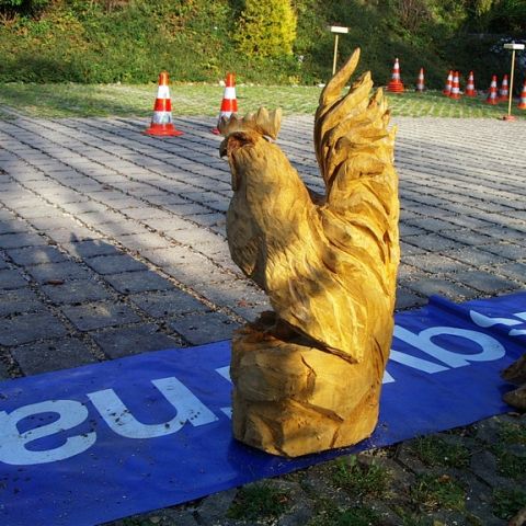 Neuer Huhn - 14