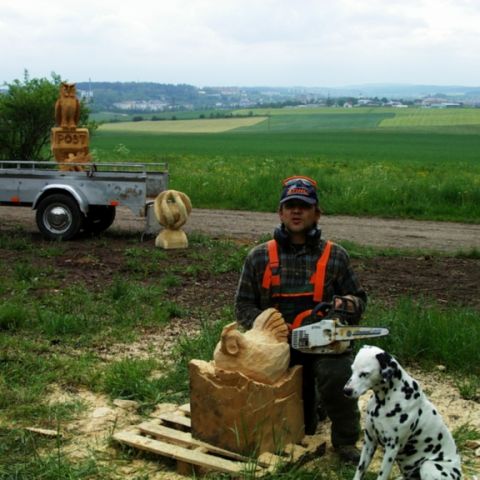 Huhn - 000