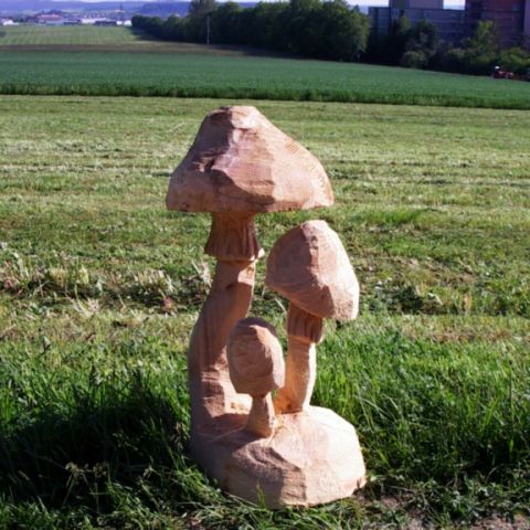 Huhn - 001