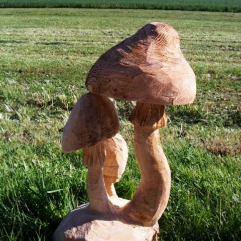Huhn - 002