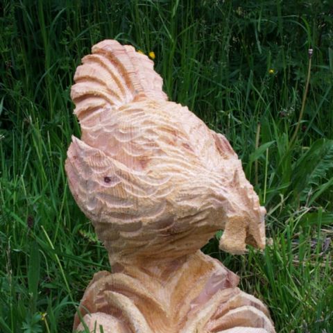 Huhn - 003