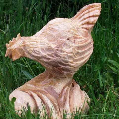 Huhn - 004