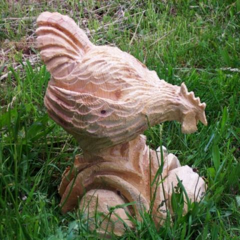 Huhn - 005