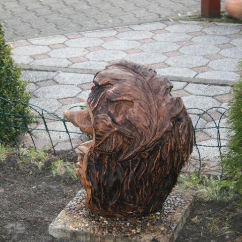 Igel - 01