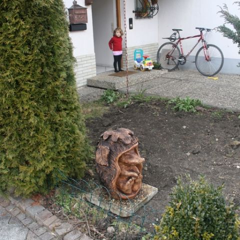 Igel - 05