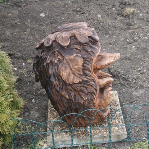 Igel - 08
