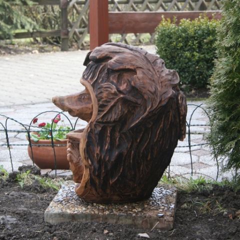 Igel - 11