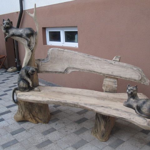 IMG 4571
