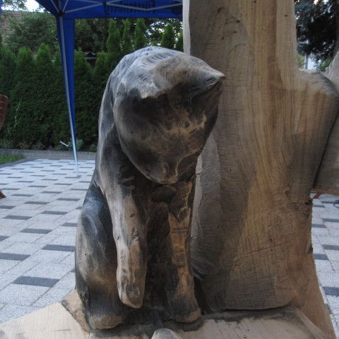 IMG 4574