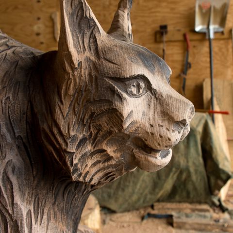 Luchs 04