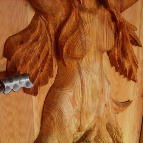 Waldgeist in - 10